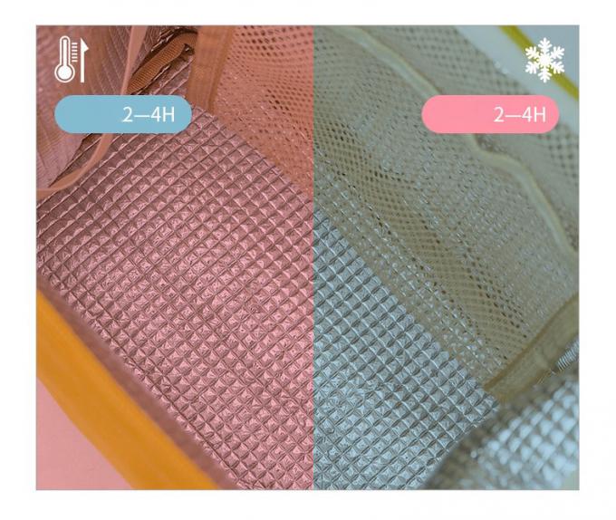 Keranjang Warna Isolasi Cooler Tas Termal Bento Box Carry Bag Dengan Percetakan Disesuaikan 1