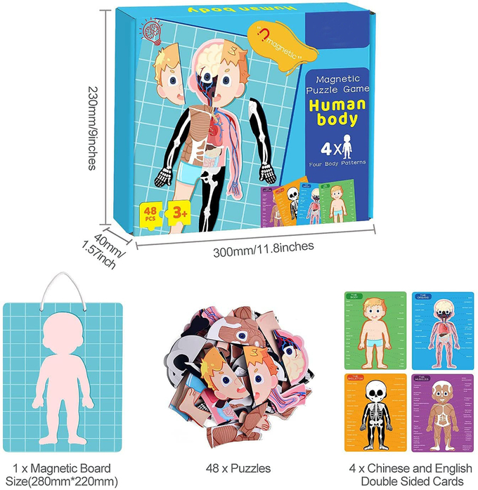 48pcs Pendidikan Magnetik Tubuh Manusia Jigsaw Puzzle Toys Untuk Anak 3 Tahun 0