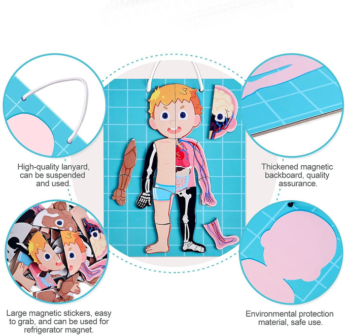 48pcs Pendidikan Magnetik Tubuh Manusia Jigsaw Puzzle Toys Untuk Anak 3 Tahun 1